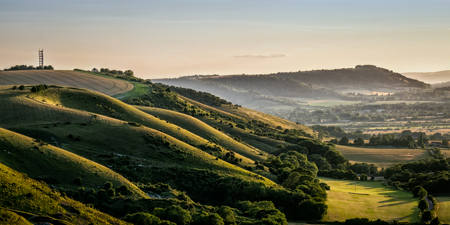 Evening Light On The Downs
