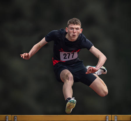 Samuel Hodgkinson - Victory In Flight