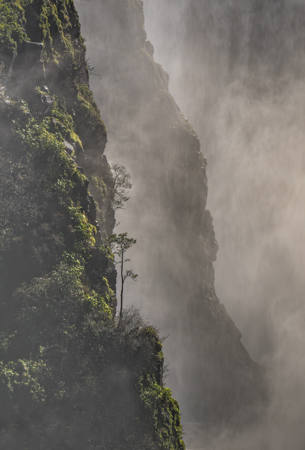 A World Of Mist
