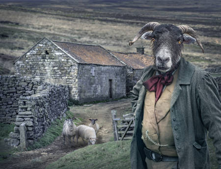 The Sheep Farmer