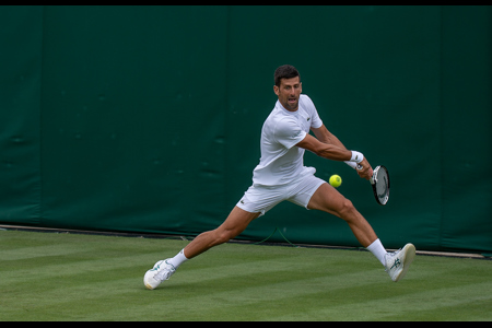 Djokovic Double-Handed Backhand