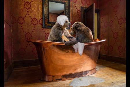 Bathtime For Bears