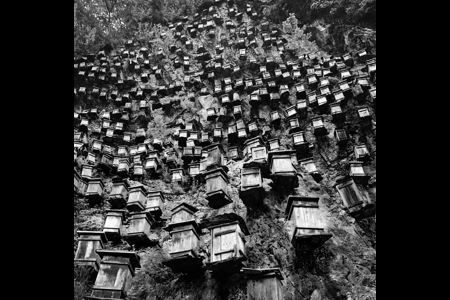 Beehive On The Cliff