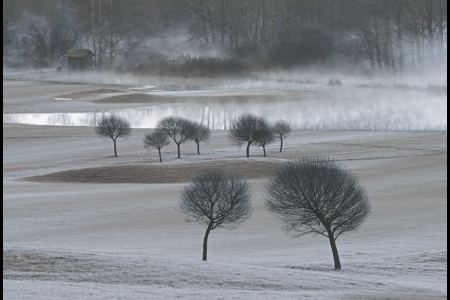 Misty Morning Near The River