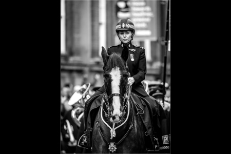 Leading The Parade