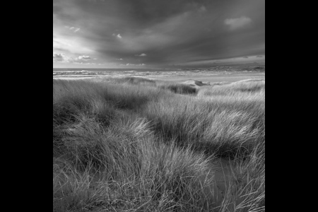 Marram Grass Machir Bay