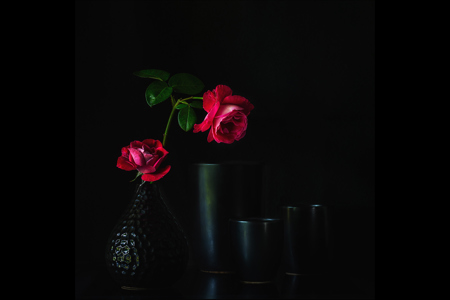 Black Vase And Rose