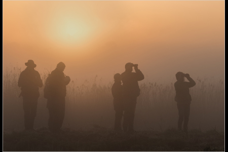 Early Birders