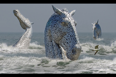 Sea Horses 3