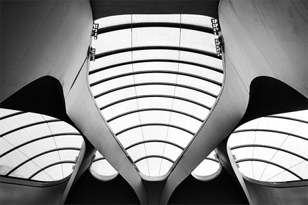 Senedd Symmetry