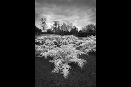 Westbury Court Garden