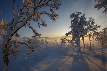 Winter Sunrise