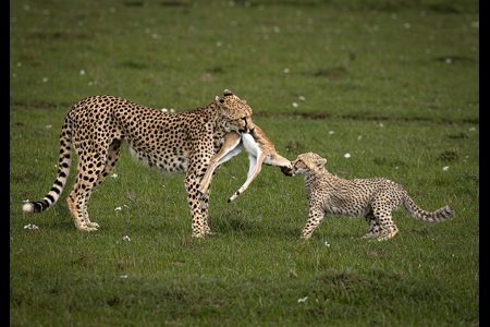 Mother And Son