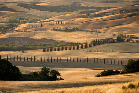 Toscany Fields