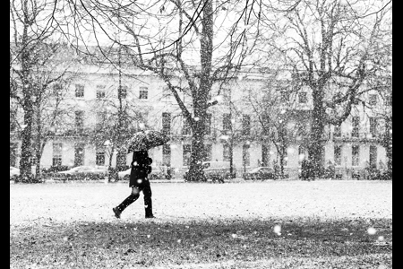 Caught In The Snow