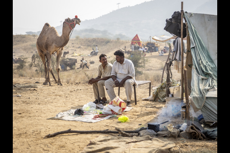 At The Camel Camp