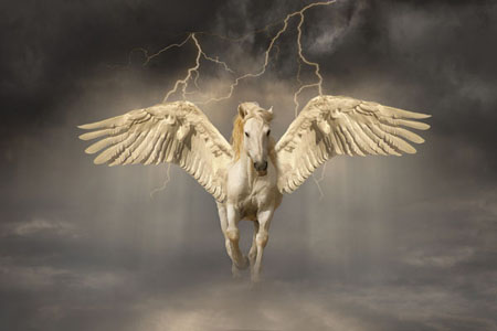 Pegasus Descending
