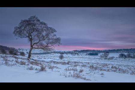 First Colours Of Dawn