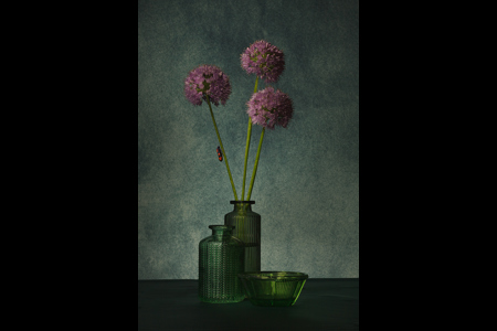 Alliums And Green Glass