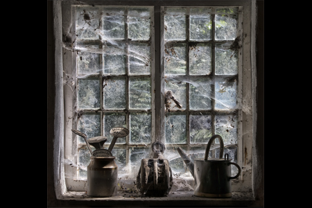 Cobwebs In The Potting Shed