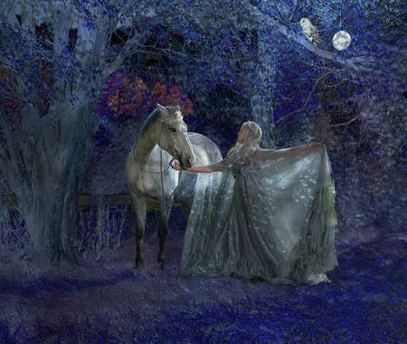 The Enchanted Horse