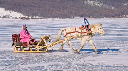 In Pink Mongolian Ice Festival