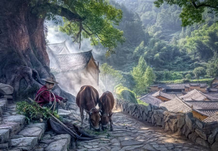 Chinese Village2