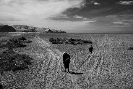 Lonesome Journeys In Barren Lands