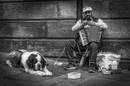 Forgot The Words Of The Song