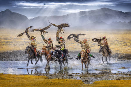 Golden Eagle Hunter 9