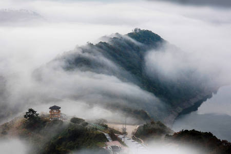 Morning Fog