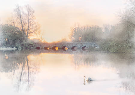 The White Swan