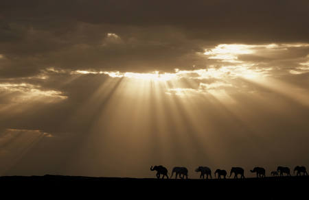 The Light Of God