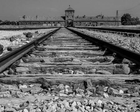 Last Train To Birkenau