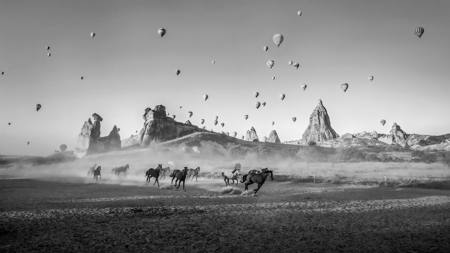 Magic Of Running Horses