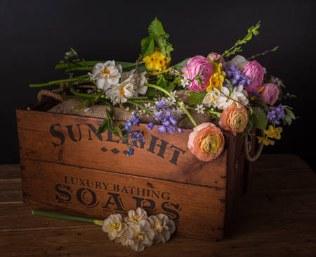 Renunculus And Narcissus