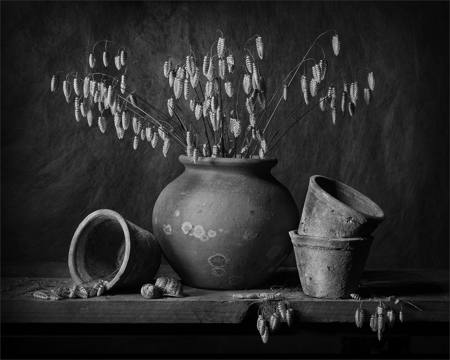 Still Life With Quaking Grass