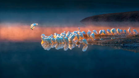 RETURNING TO THE TEAM