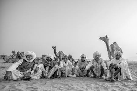 Pushkar3658