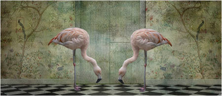 Flamingos In Wonderland