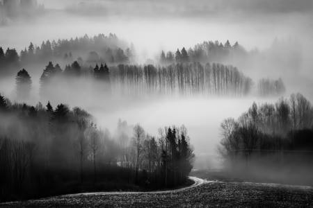 November Mists