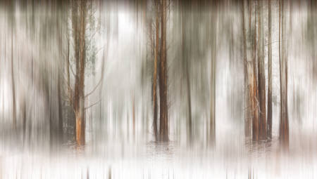 Winter In Snowy Valleys