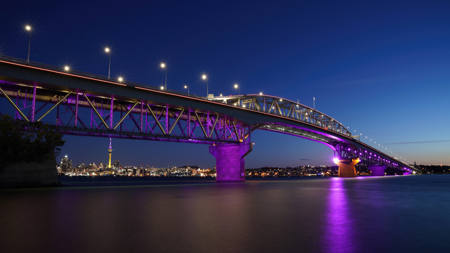 Purple Gateway