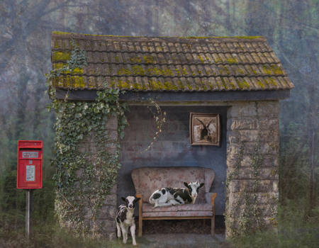 Best Bus Shelter