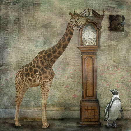 What Time Is It Mr Giraffe