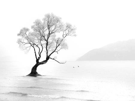 Raining At Wanaka