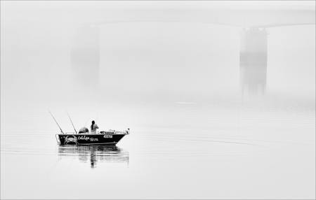 Catchya In Fog