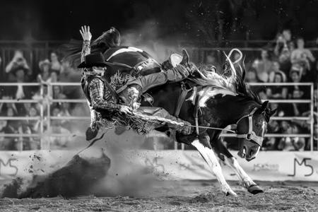 AGG525-257- Im Leaving