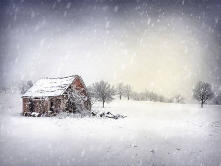 Winter Shed
