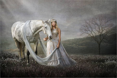 In The Gathering Light